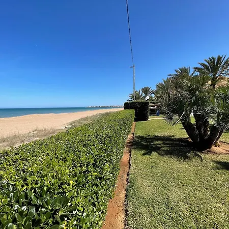 Blau-serviden Denia