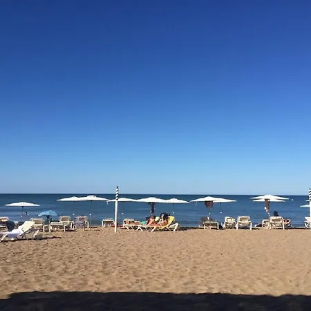 Blau-serviden Denia